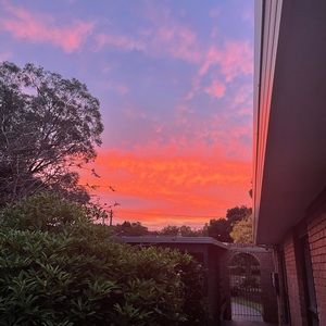 Meet your Posher, Evalyn